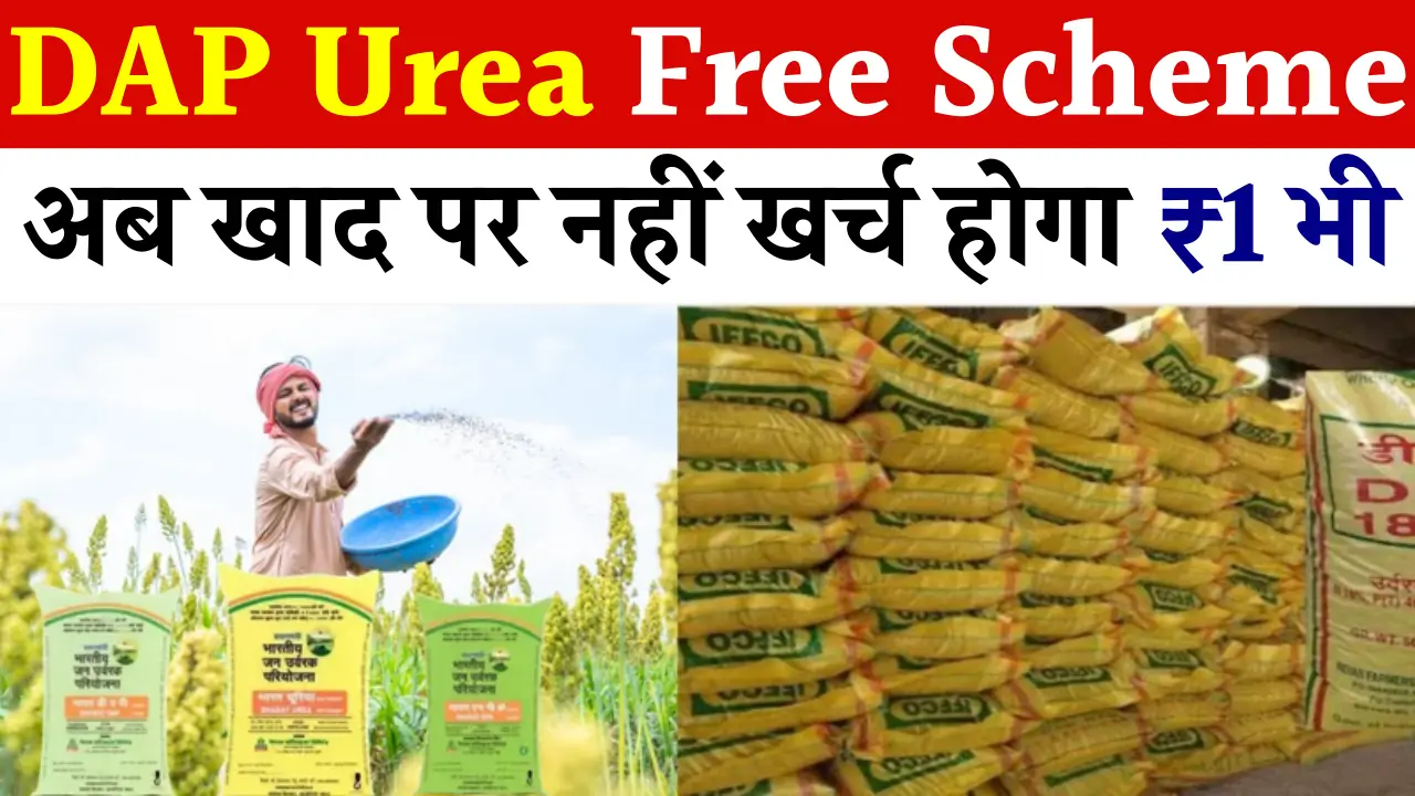 DAP Urea Free Scheme