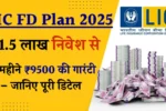 LIC FD Plan